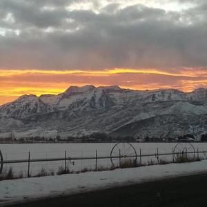 Meet your Posher, Rick